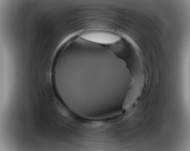 X0000084020391200703091952