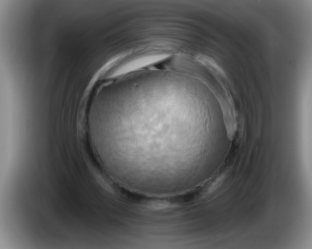 X0000084020392200703091952