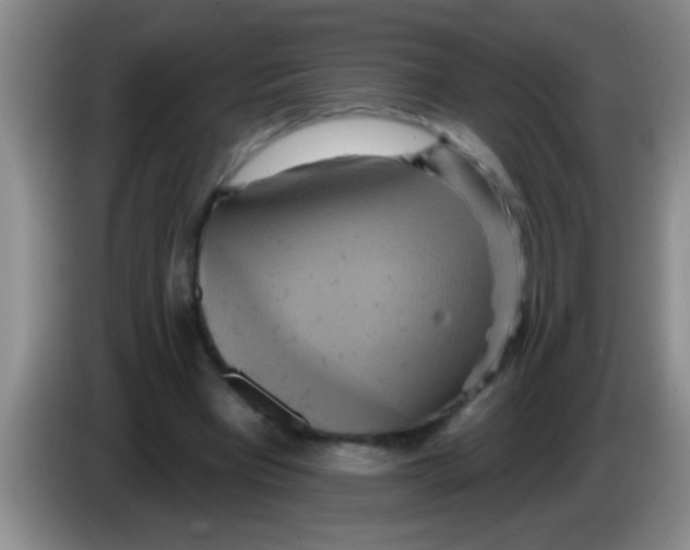 X0000084020393200703091952