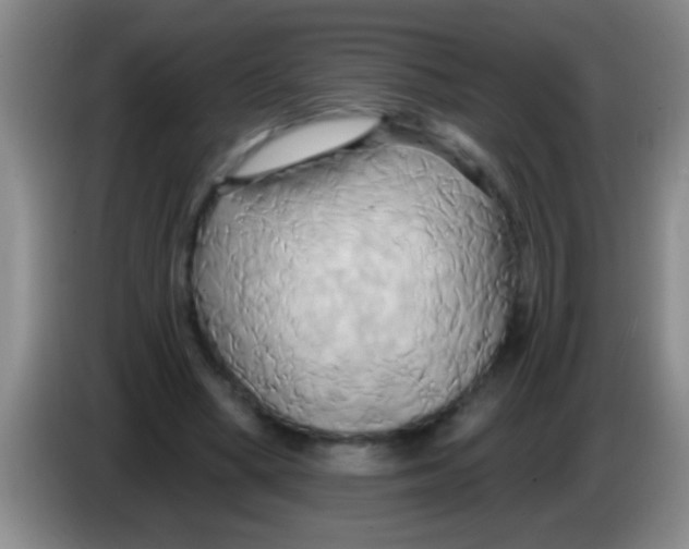 X0000084020394200703091952