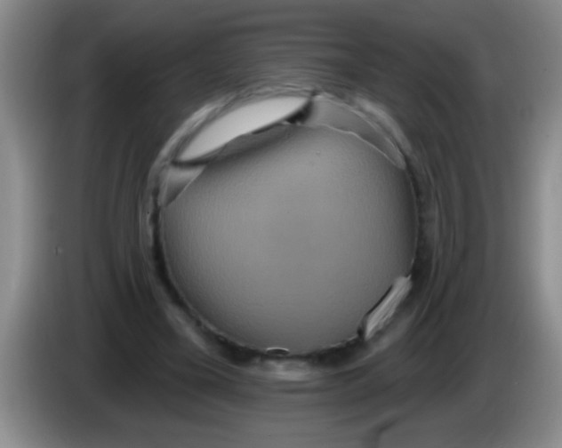 X0000084020395200703091952