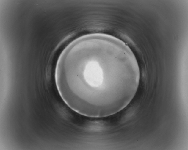 X0000084020396200703091952