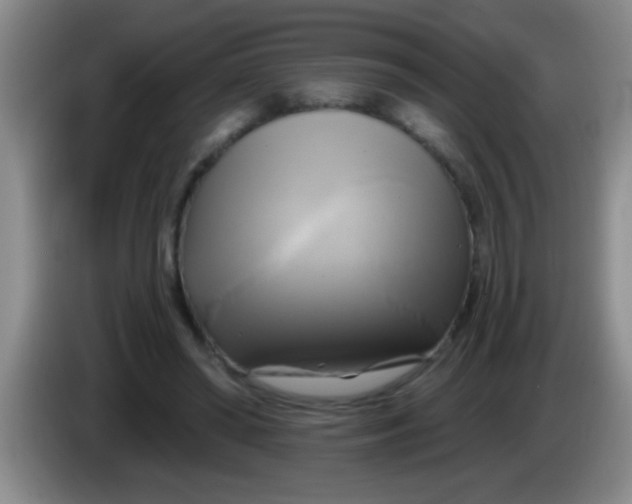 X0000084020398200703091952