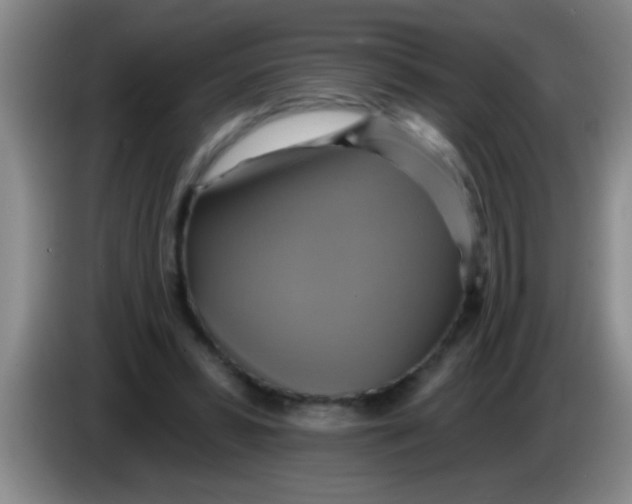 X0000084020399200703091952