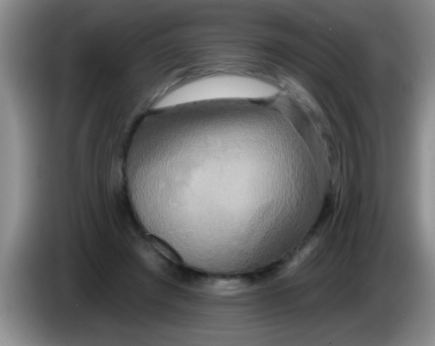 X0000084020401200703091952