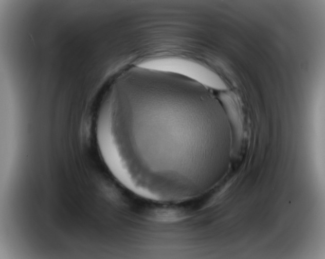 X0000084020404200703091952