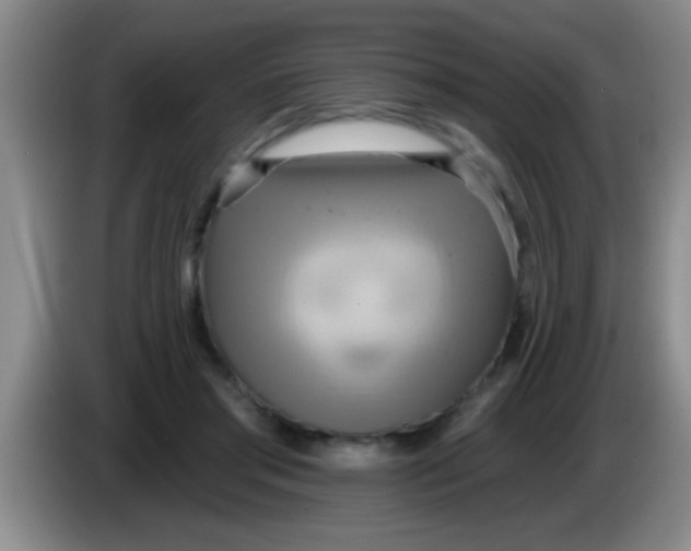 X0000084020405200703091952