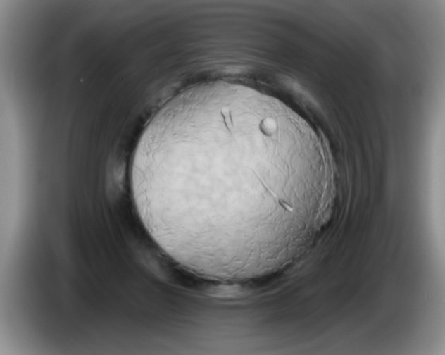 X0000084020406200703091952