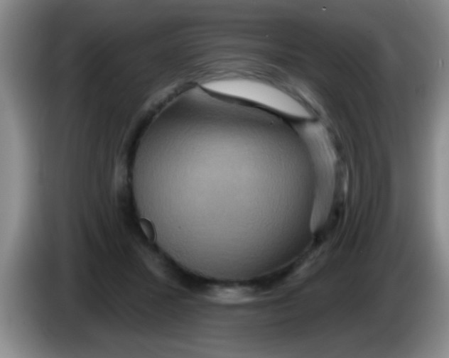 X0000084020407200703091952