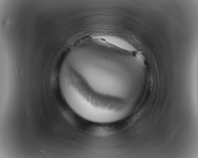 X0000084020408200703091952