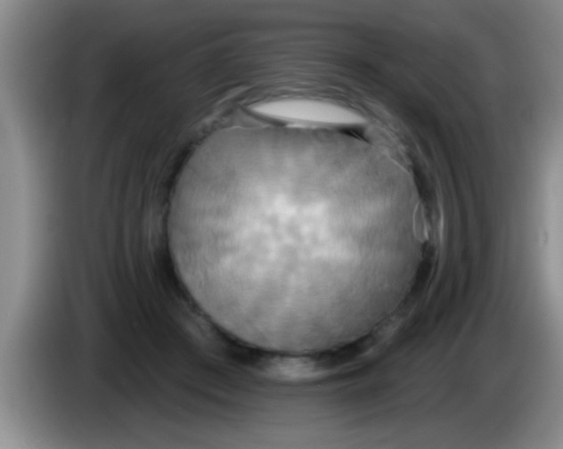 X0000084020409200703091952