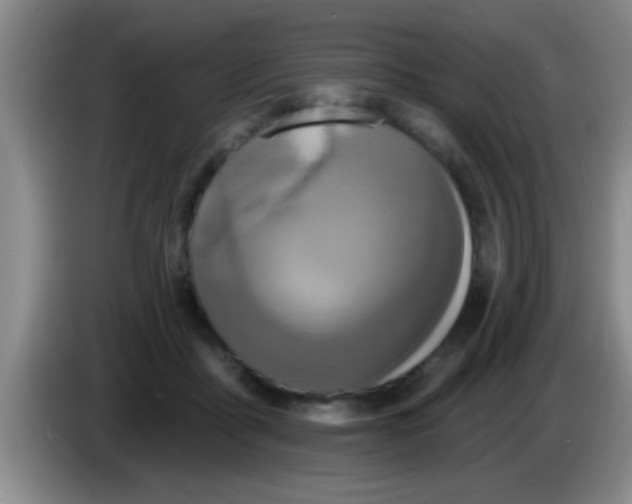 X0000084020411200703091952