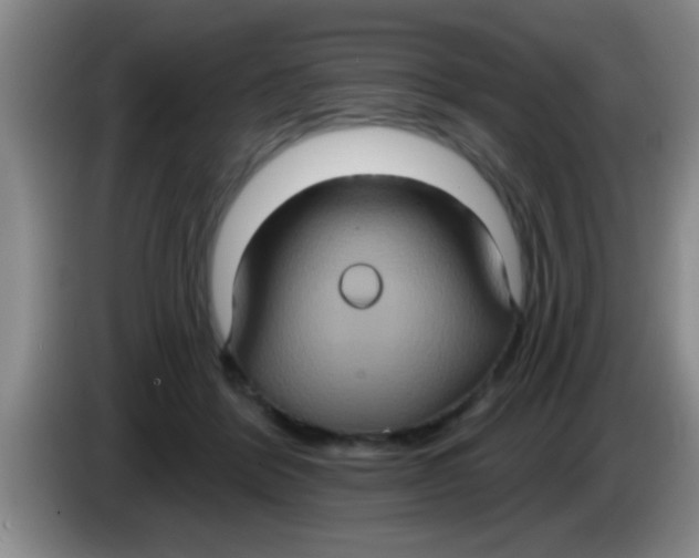 X0000084020412200703091952