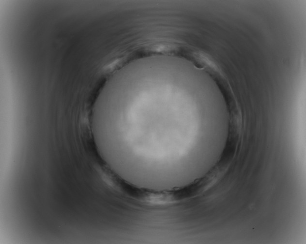 X0000084020415200703091952