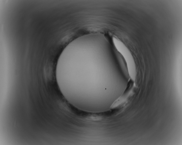 X0000084020416200703091952