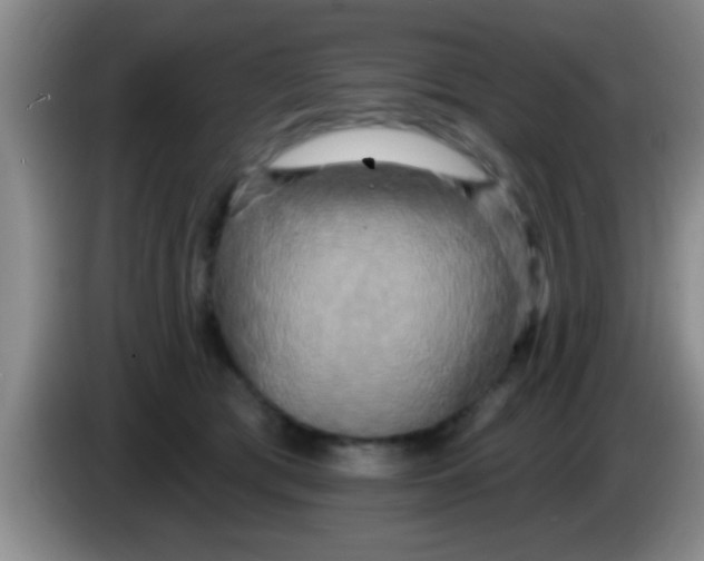 X0000084020417200703091952