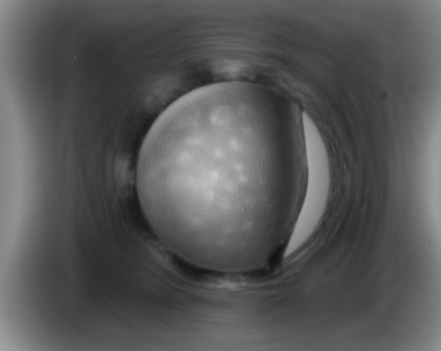 X0000084020420200703091952