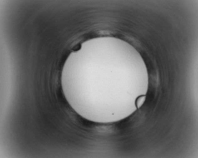 X0000084020422200703091952