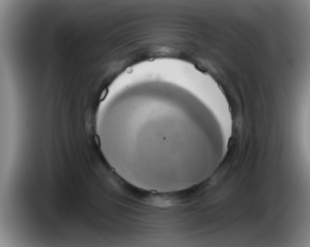 X0000084020423200703091952