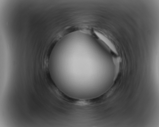 X0000084020425200703091952