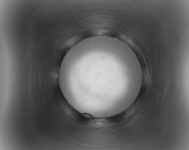 X0000084020427200703091952