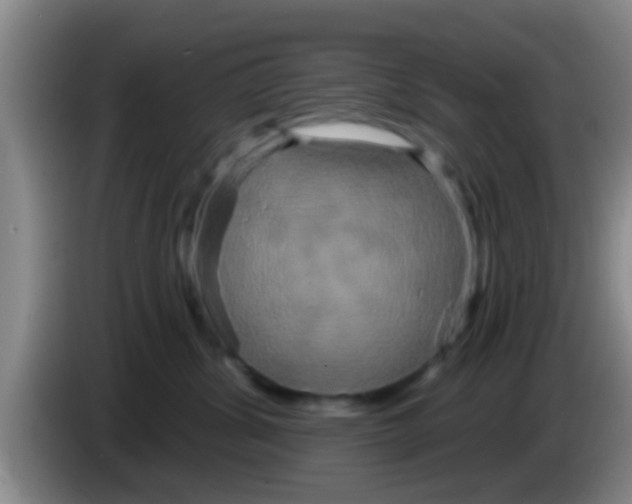 X0000084020428200703091952