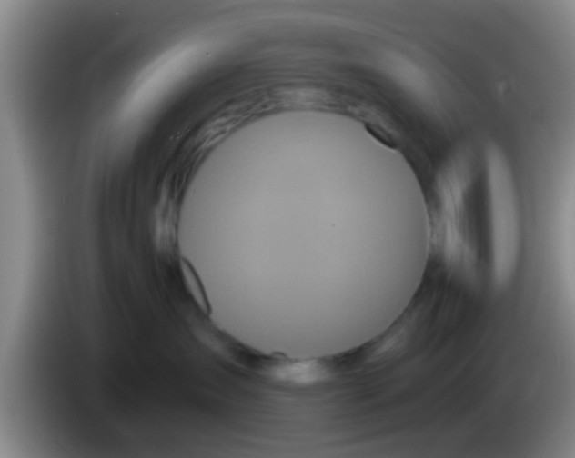 X0000084020431200703091952