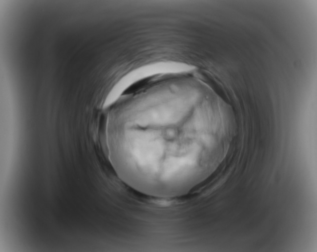 X0000084020432200703091952