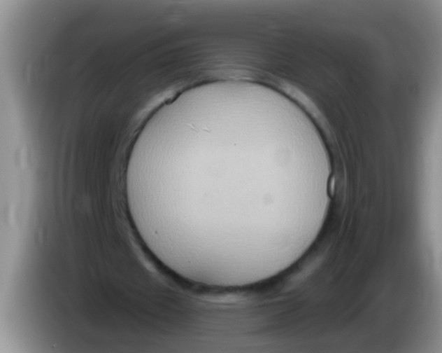 X0000084020433200703091951