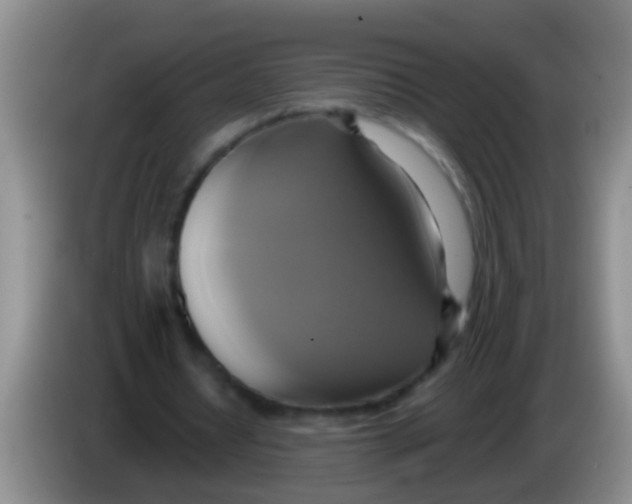 X0000084020434200703091951