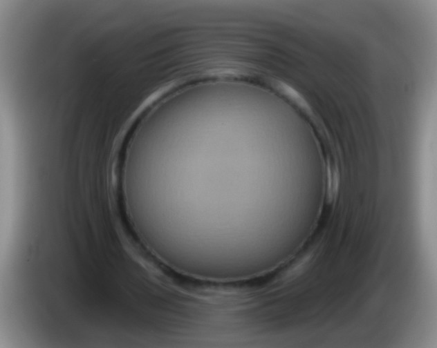 X0000084020435200703091951