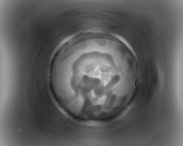 X0000084020437200703091951