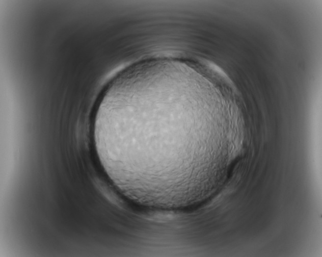 X0000084020439200703091951