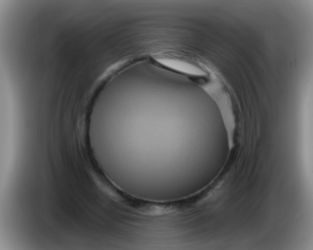 X0000084020442200703091951