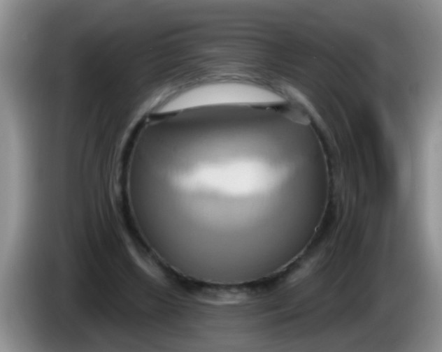 X0000084020443200703091951