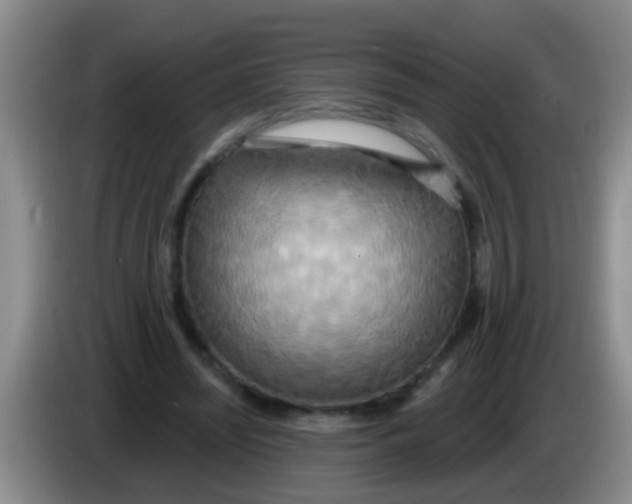 X0000084020444200703091951