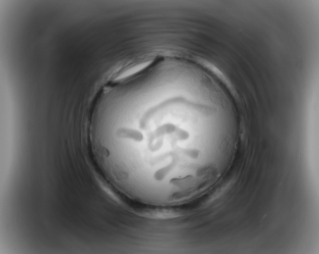 X0000084020445200703091951