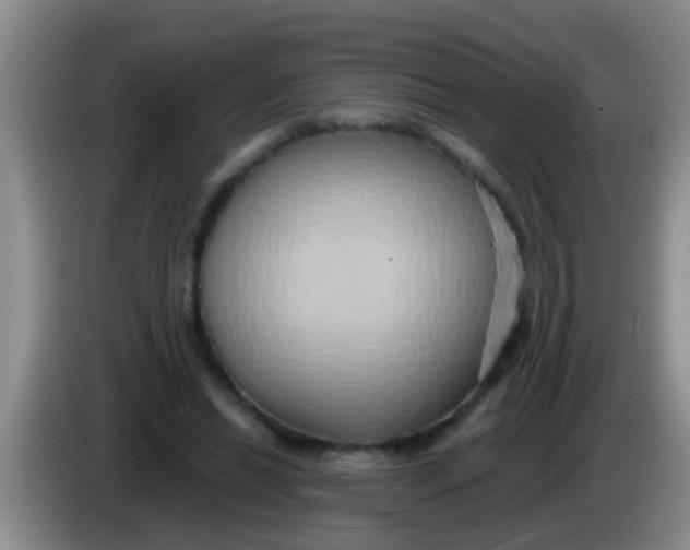 X0000084020446200703091951