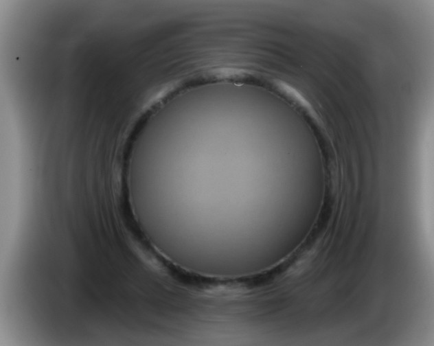 X0000084020447200703091951