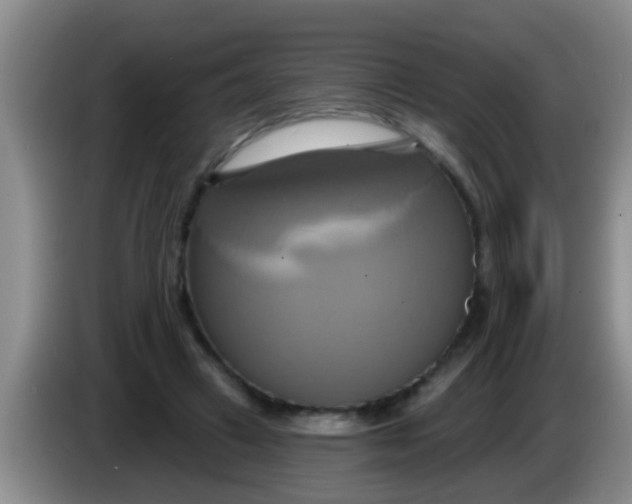 X0000084020449200703091951