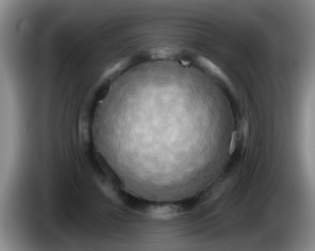 X0000084020452200703091951