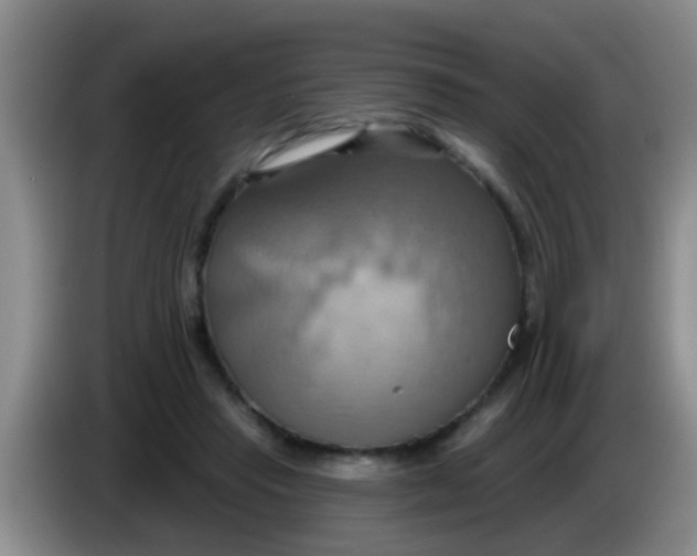 X0000084020453200703091951