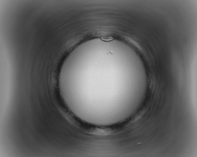 X0000084020455200703091951