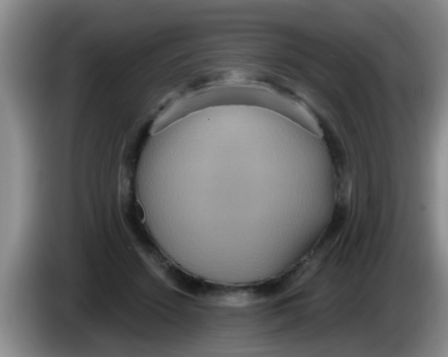 X0000084020456200703091951