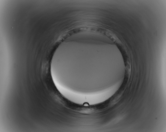 X0000084020458200703091951