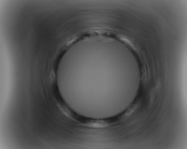 X0000084020459200703091951