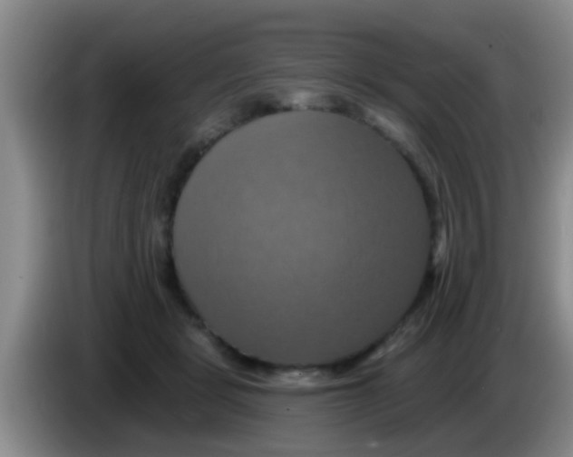 X0000084020461200703091951