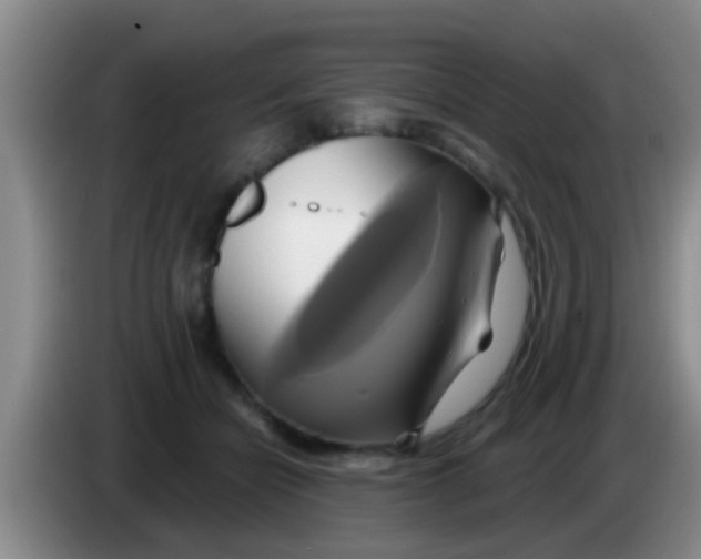 X0000084020462200703091951