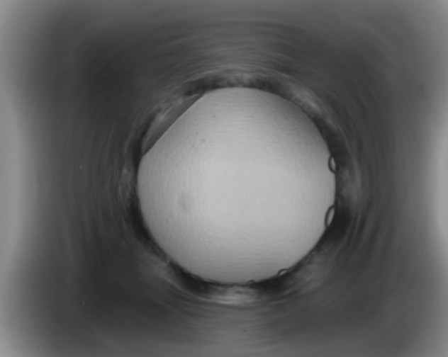 X0000084020463200703091951