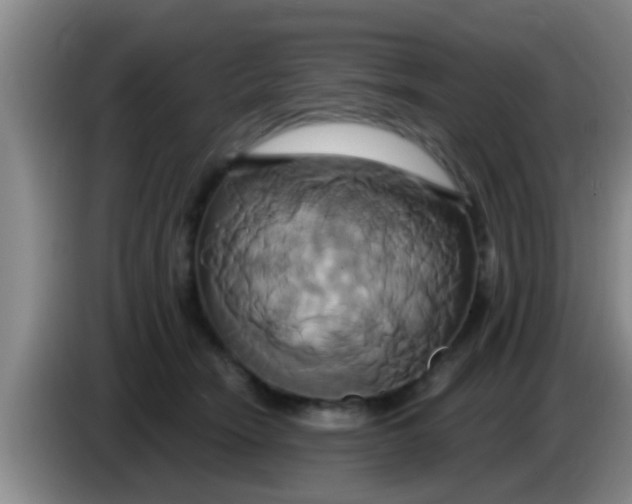 X0000084020466200703091951